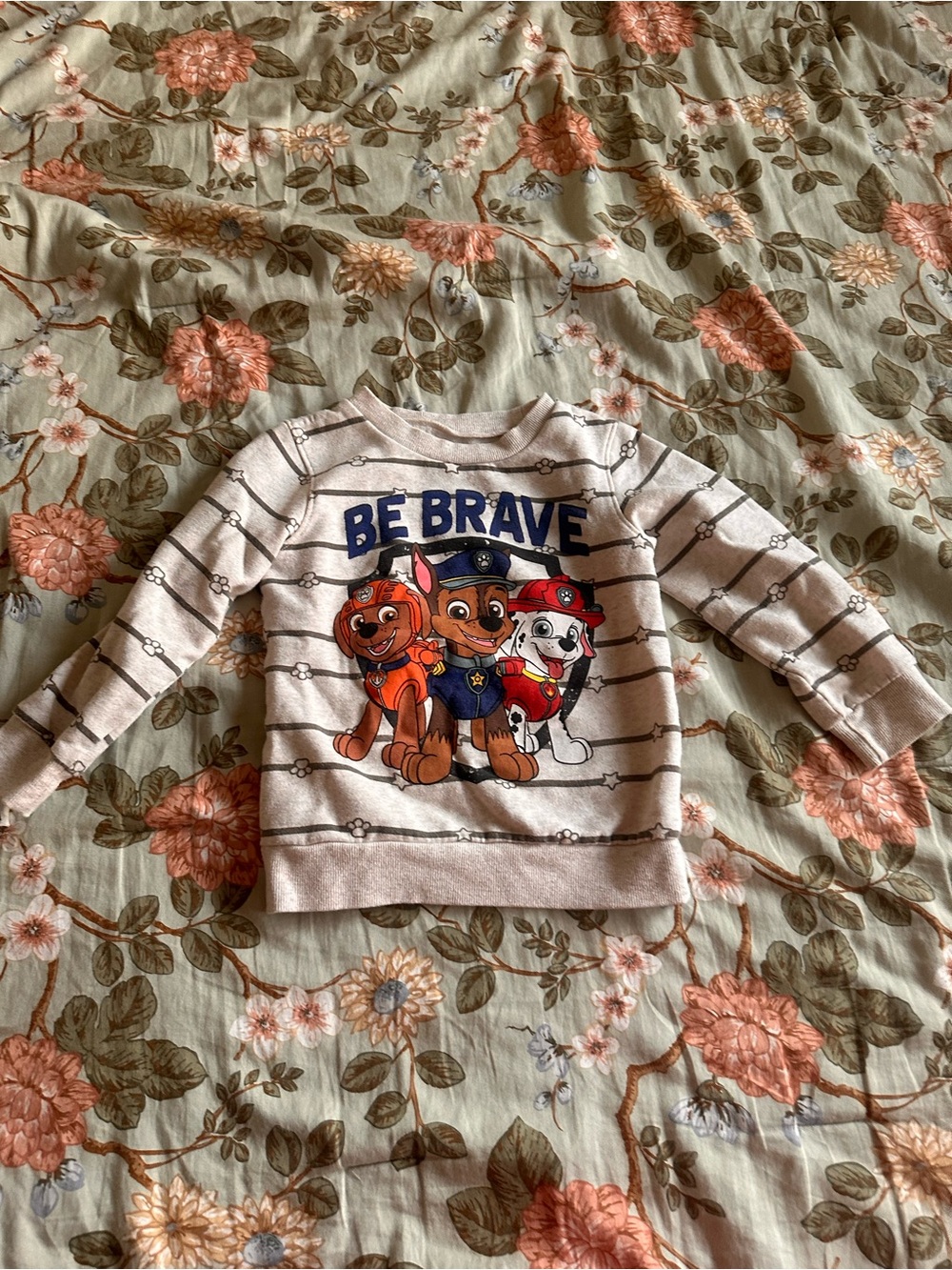 Paw Patrol 'Be Brave' Striped Kids Sweatshirt - size 5